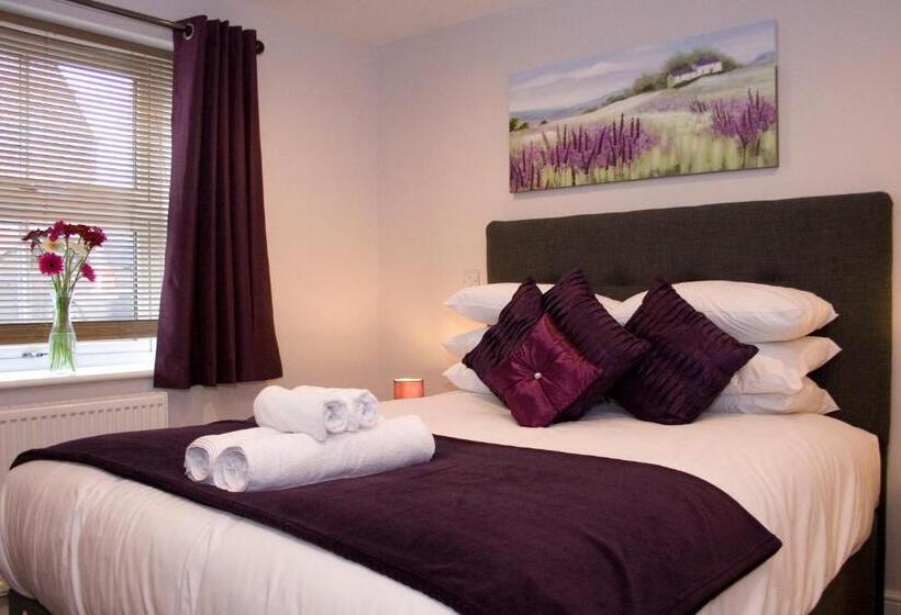 コンフォートルーム, The Wheatsheaf