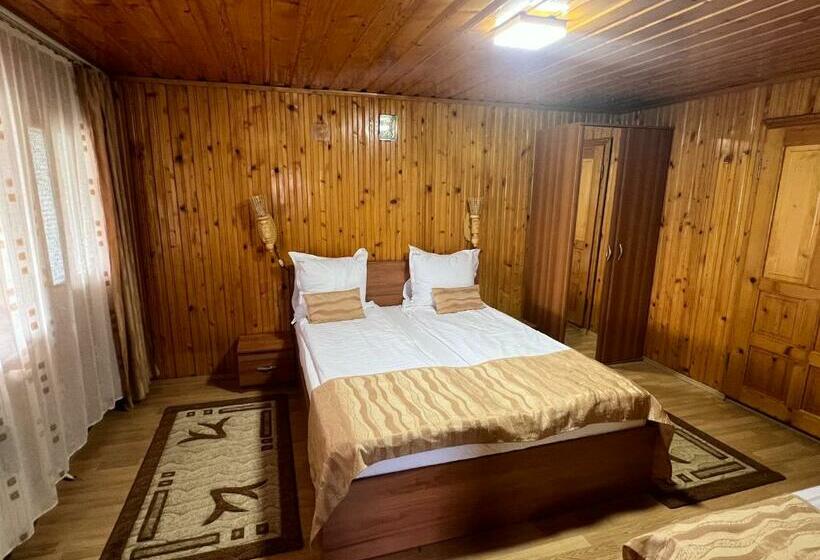 패밀리 룸, Pensiunea La Mogan