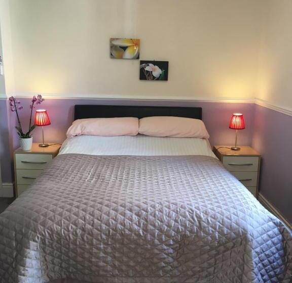 标准间, Adelphi Guest House