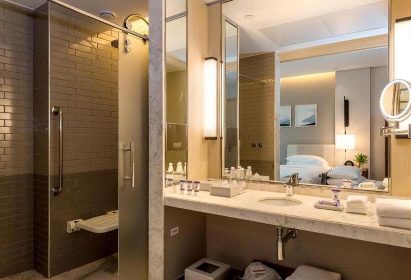 适合残疾人使用的标准间, Grand Hyatt Rio De Janeiro