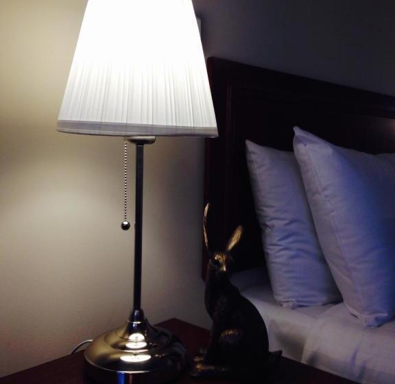 غرفة قياسية, The Swan Inn