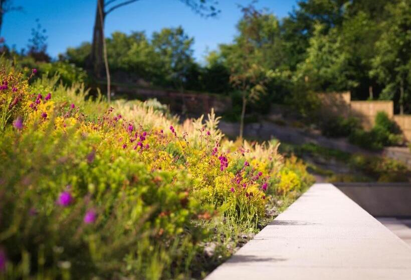 סוויטה נוף לגינה, Y Talbot