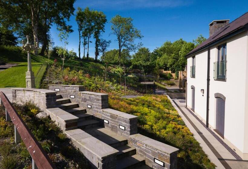 חדר סטנדרט יחיד, Y Talbot