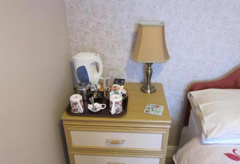 غرفة قياسية, Black Swan Guest House