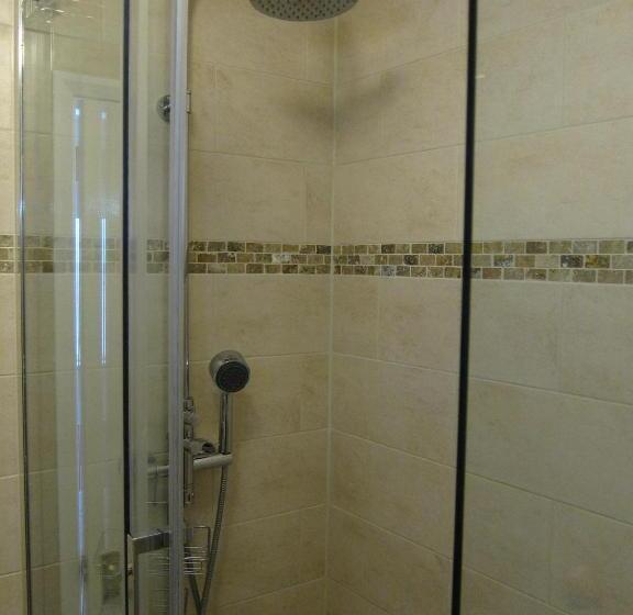 غرفة سوبيريور, Black Swan Guest House