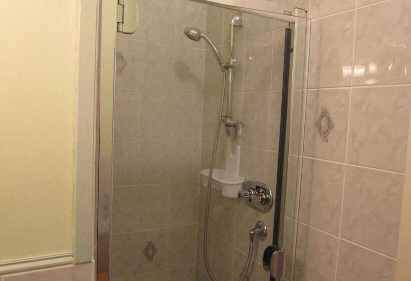 غرفة قياسية فردية, Black Swan Guest House