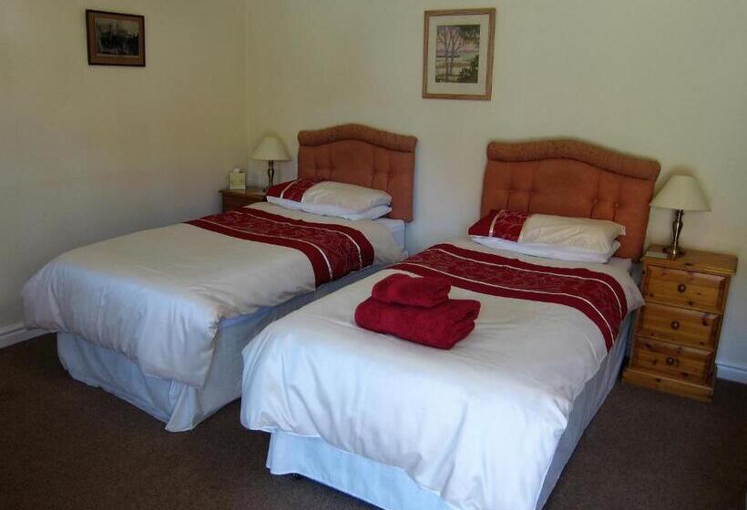 غرفة سوبيريور, Black Swan Guest House