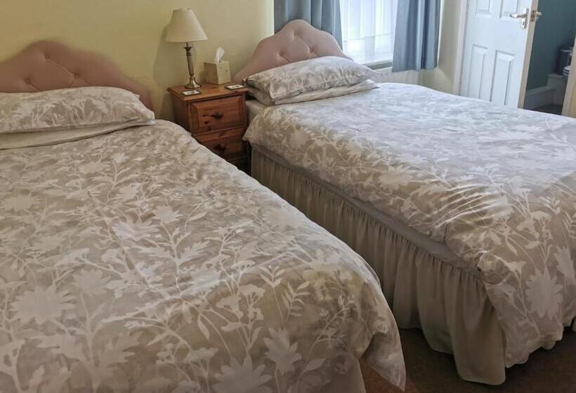 غرفة قياسية, Black Swan Guest House