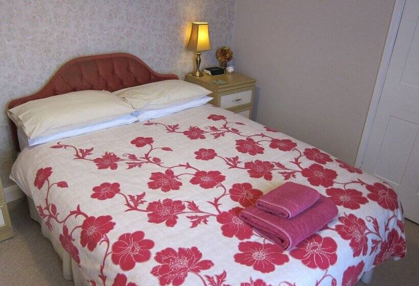 غرفة قياسية, Black Swan Guest House