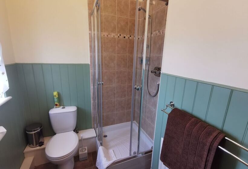 غرفة قياسية, Black Swan Guest House