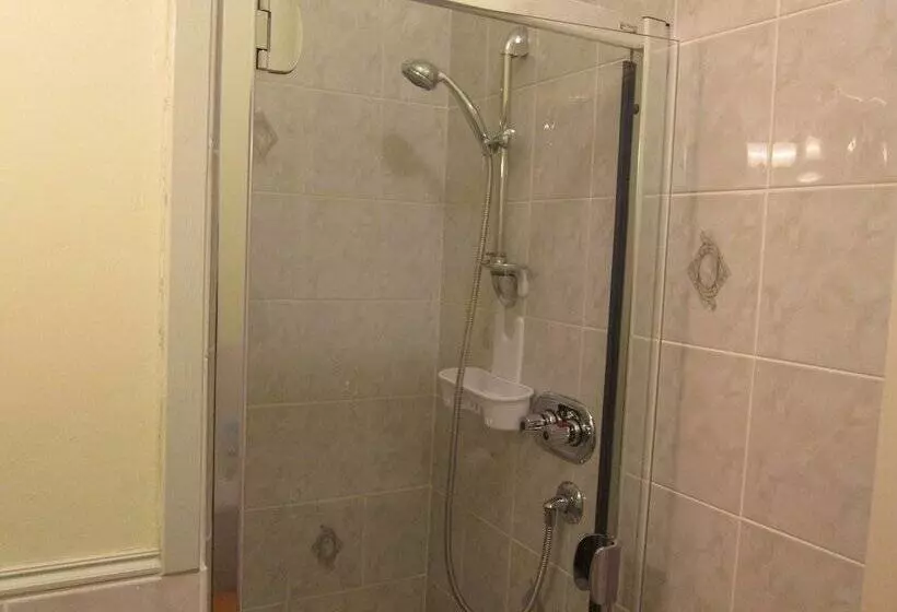 スタンダードシングルルーム, Black Swan Guest House