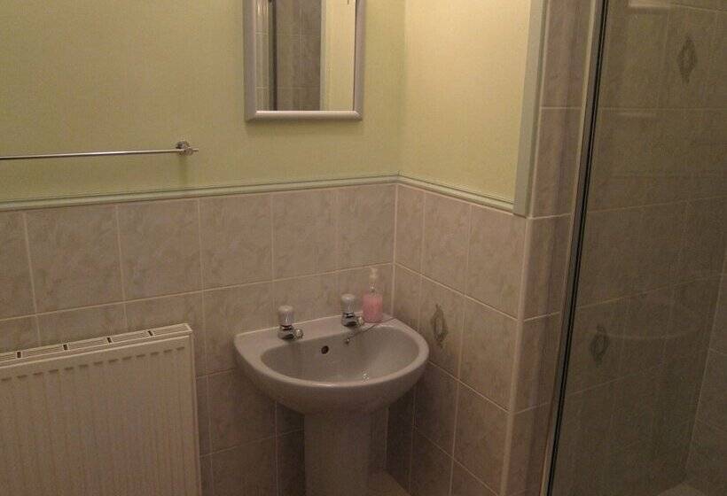 غرفة قياسية فردية, Black Swan Guest House