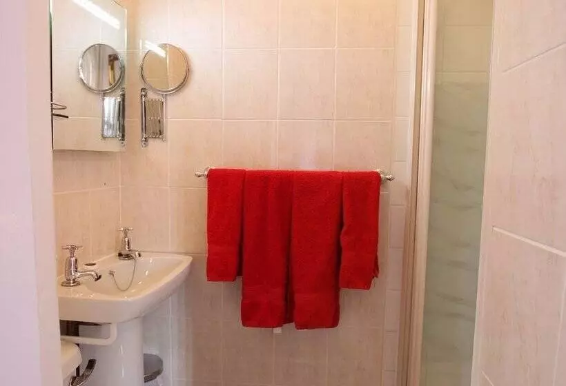 Standard-huone, Greylands Guest House