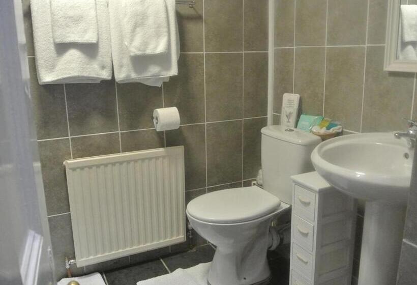 غرفة قياسية, Old Castle Farm Guest House