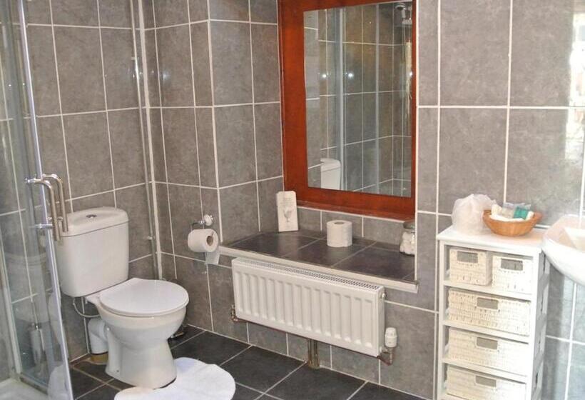 غرفة قياسية, Old Castle Farm Guest House