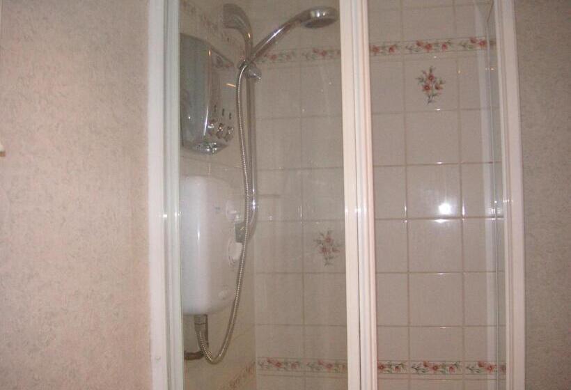 غرفة قياسية فردية, Ty Newydd Guest House