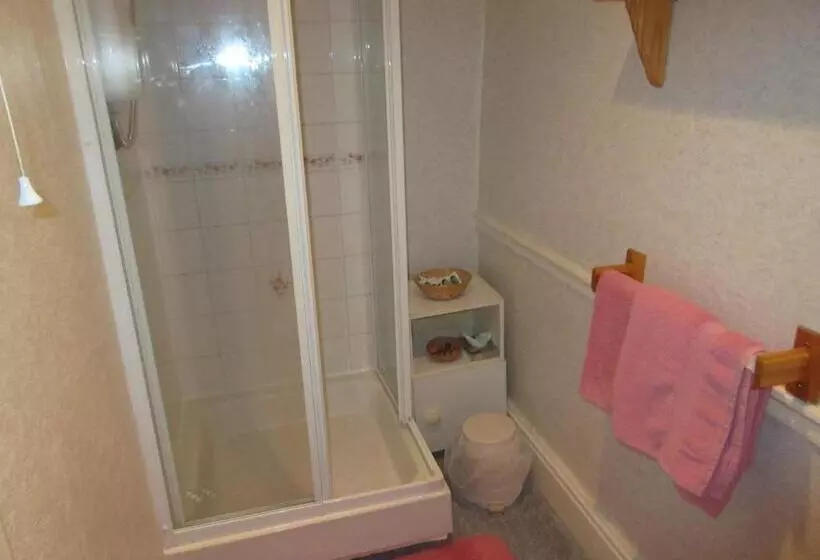 スタンダードルーム, Ty Newydd Guest House