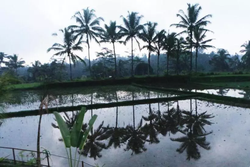 ファミリールーム, Villa Kemuning