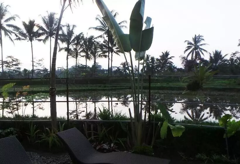 ファミリールーム, Villa Kemuning