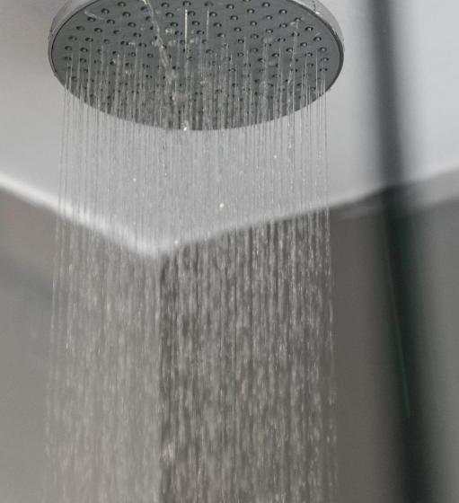 Habitación Estándar, Eucalyptus