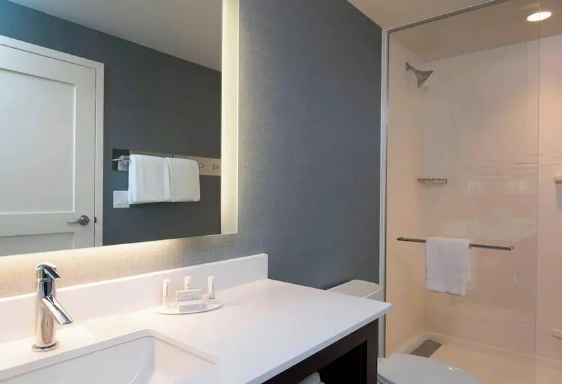 ダブルベッドのスタンダードスタジオ, Residence Inn By Marriott Ann Arbor Downtown