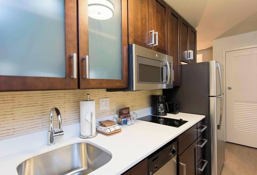 带2个卧室的套房, Residence Inn By Marriott Ann Arbor Downtown