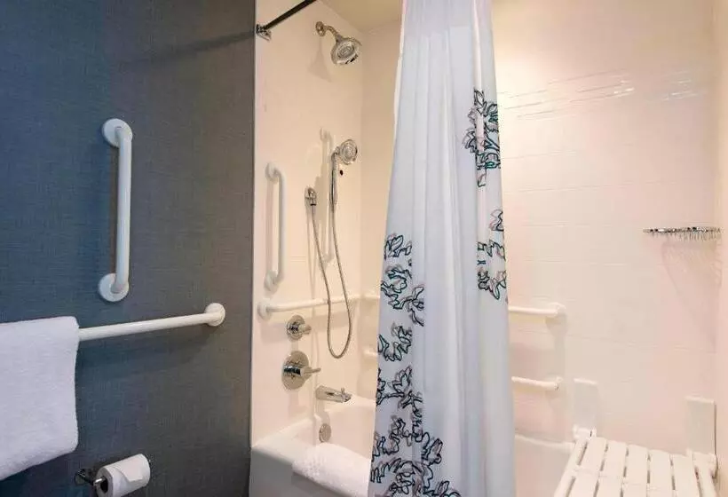 キングサイドベッドのスタンダードワンルーム, Residence Inn By Marriott Ann Arbor Downtown
