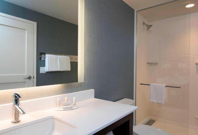 带大床的标准工作室, Residence Inn By Marriott Ann Arbor Downtown