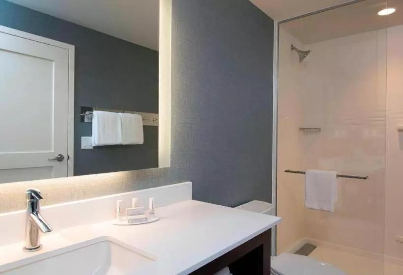 キングサイドベッドのスタンダードワンルーム, Residence Inn By Marriott Ann Arbor Downtown