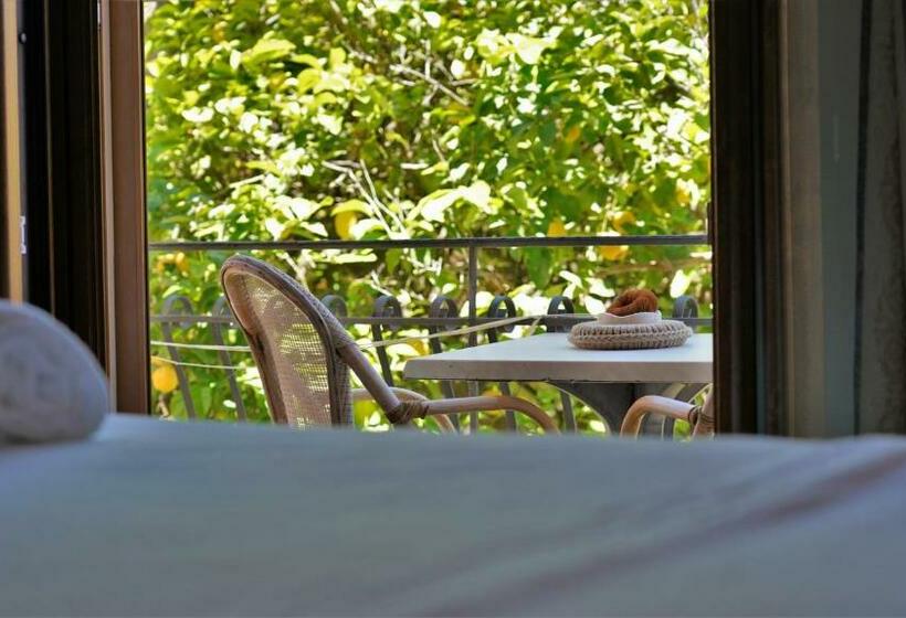 スタンダードスタジオ, Tourist