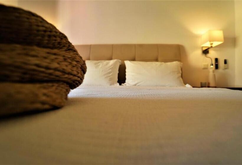 海の見えるスタンダードスタジオ, Tourist