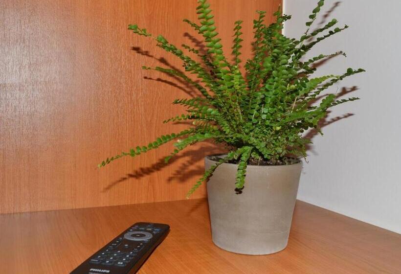 اتاق استاندارد با چشمانداز دریا, Saga