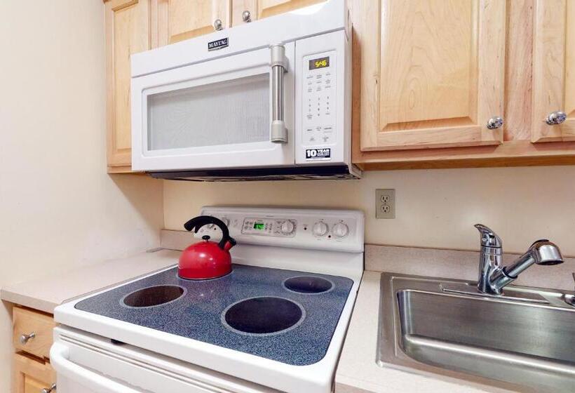 شقة غرفة واحدة, Sea Colony   2004 Doubles