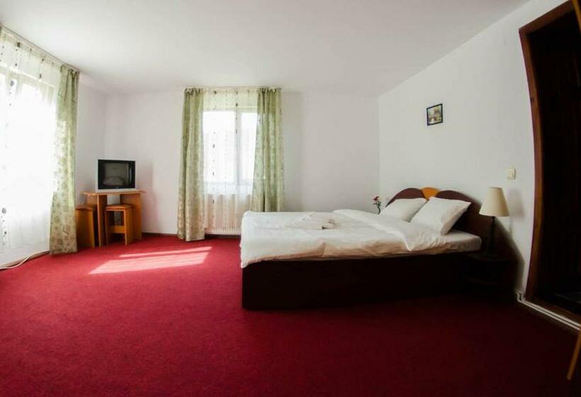 غرفة قياسية سرير كينج, Pensiunea Tara