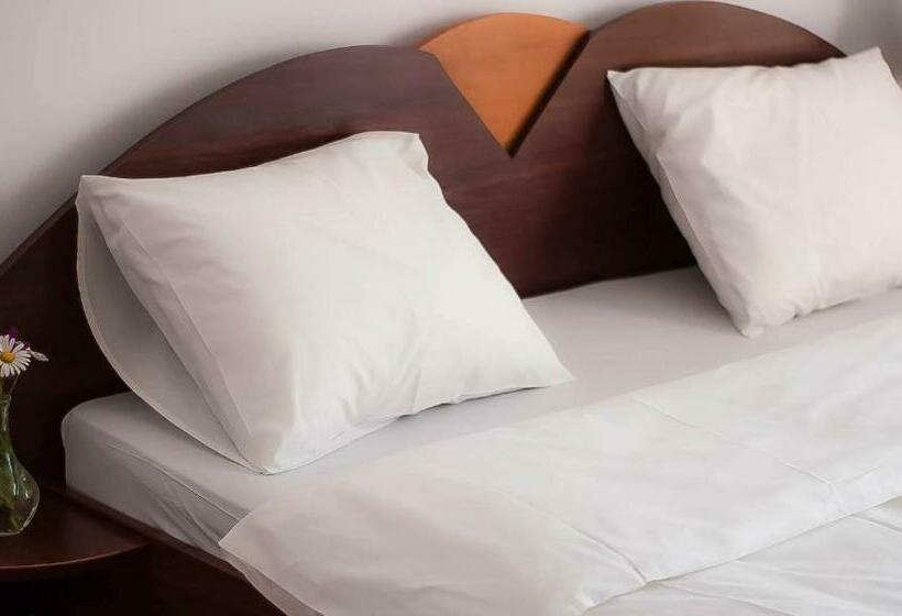 غرفة قياسية سرير كينج, Pensiunea Tara