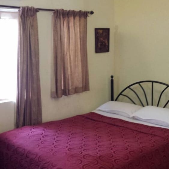 اتاق اکونومی, Bonanza