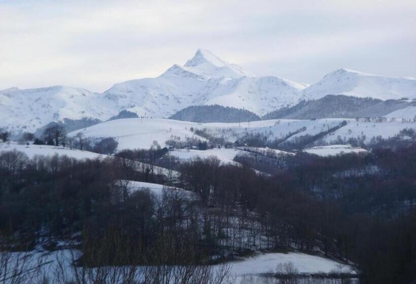 Номер Стандарт, Du Soleil Levant