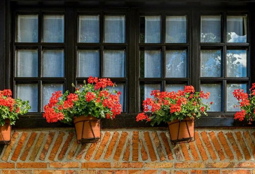 اتاق استاندارد, La Posada De Langre