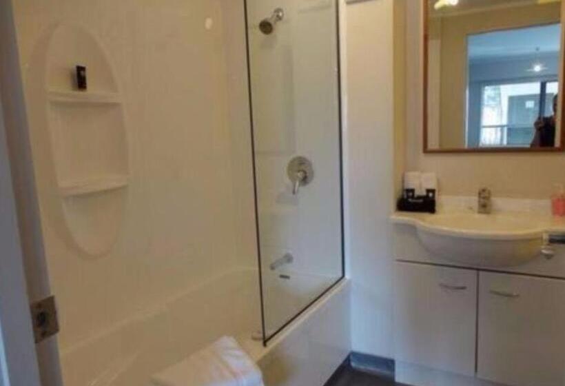 스탠다드 스튜디오, Asure Abode On Courtenay Motor Inn
