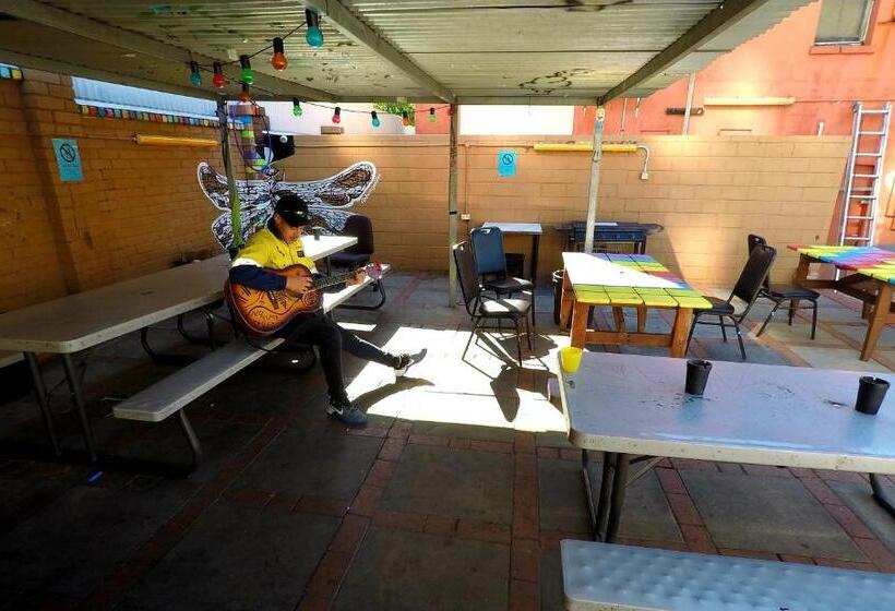 سرير فى غرفة مشتركه, The Hive Hostel   Traveler Friendly, Passport Only