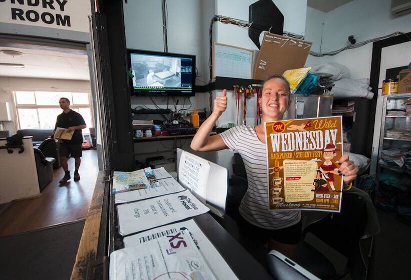 غرفة قياسية, The Hive Hostel   Traveler Friendly, Passport Only