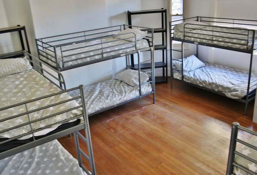 سرير فى غرفة مشتركه, The Hive Hostel   Traveler Friendly, Passport Only