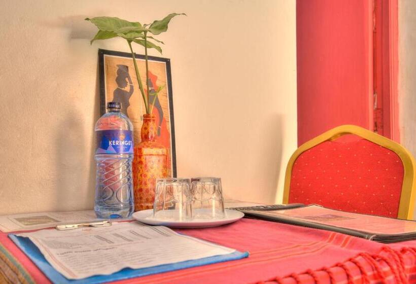 Superior Szoba, Red Buffalo House