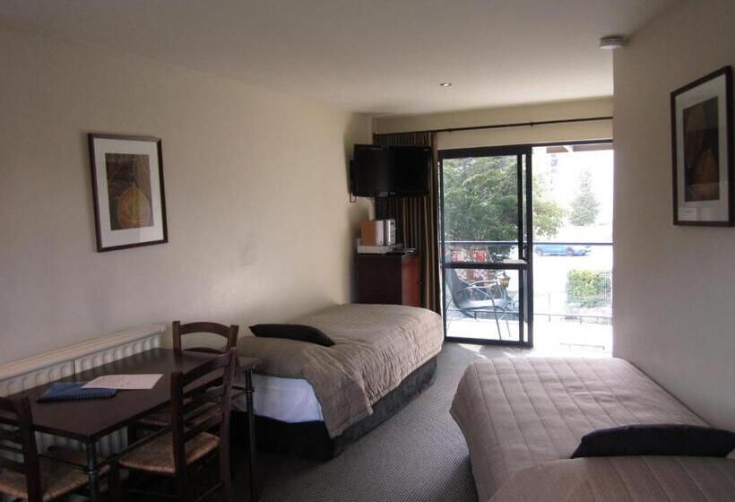 带1个卧室的公寓, Four Seasons Motel