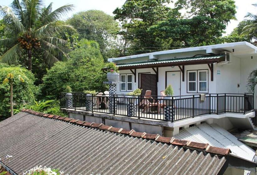 豪华房间, Blue Eyes Inn