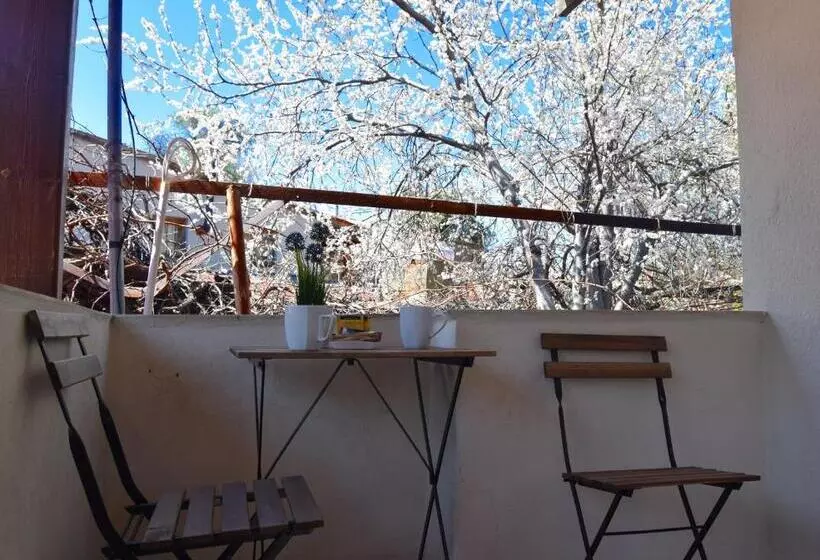 اتاق استاندارد چهار تخته, Christys Palace