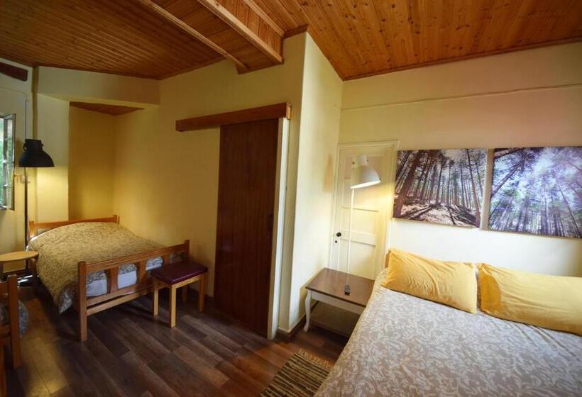 Dört Kişilik Standart Oda, Christys Palace