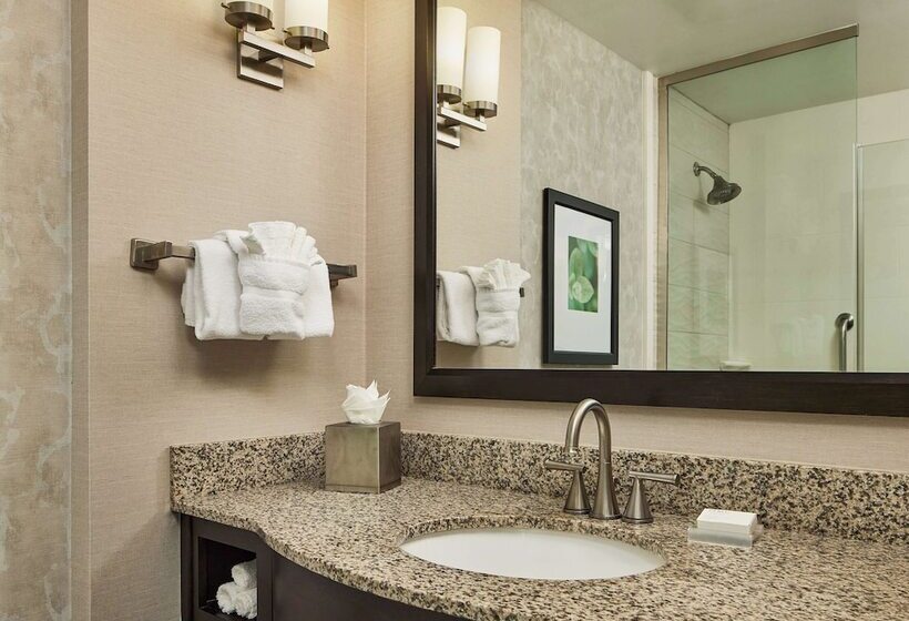 اتاق استاندارد با تخت بزرگ, Hilton Garden Inn Nashville Downtown/convention Center