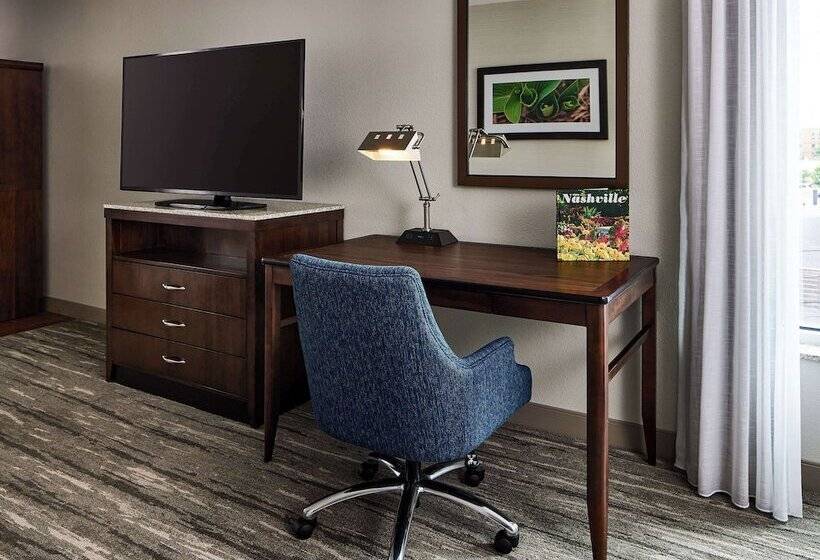 سوئیت با تخت بزرگ, Hilton Garden Inn Nashville Downtown/convention Center