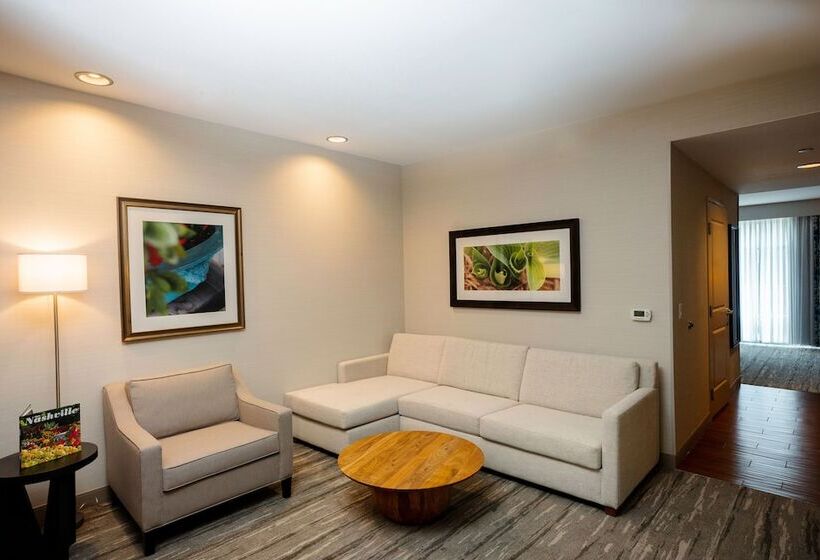سوئیت با تخت بزرگ, Hilton Garden Inn Nashville Downtown/convention Center